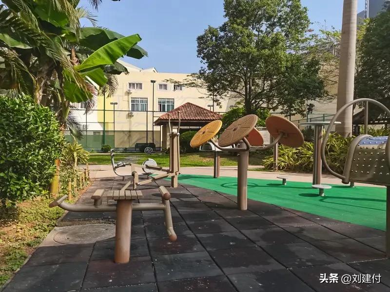 大爷在健身场所给4只狗梳毛遭制止 安徽一小区内，大爷在健身场所为4只狗梳毛，狗毛