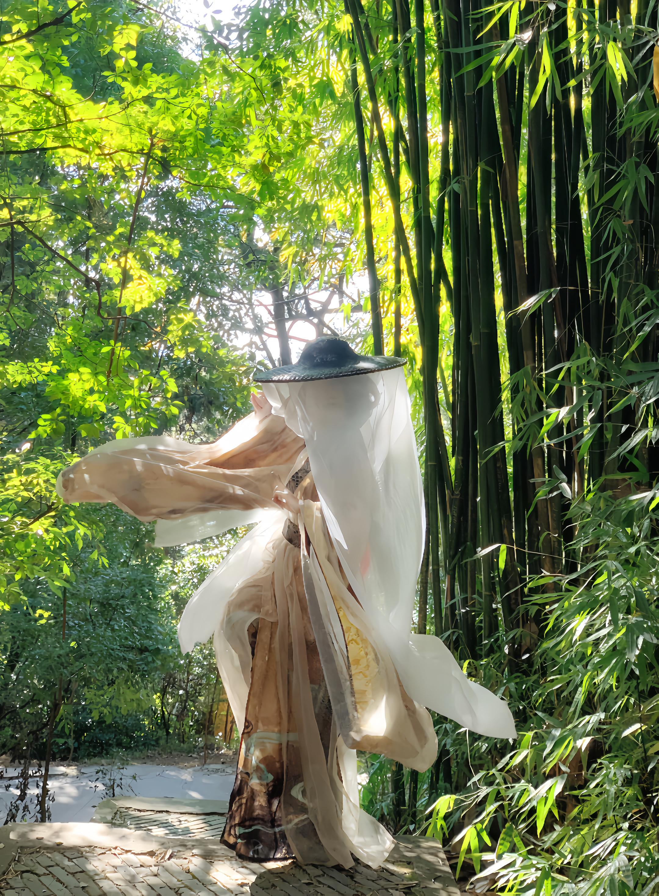 这一世英明我不要。