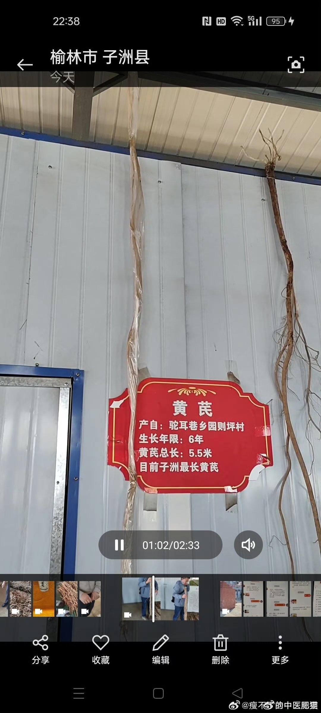 #肥猫走南闯北##国医的精诚力量# 其实最好的黄芪应该是陕西子洲黄芪，比山西浑源