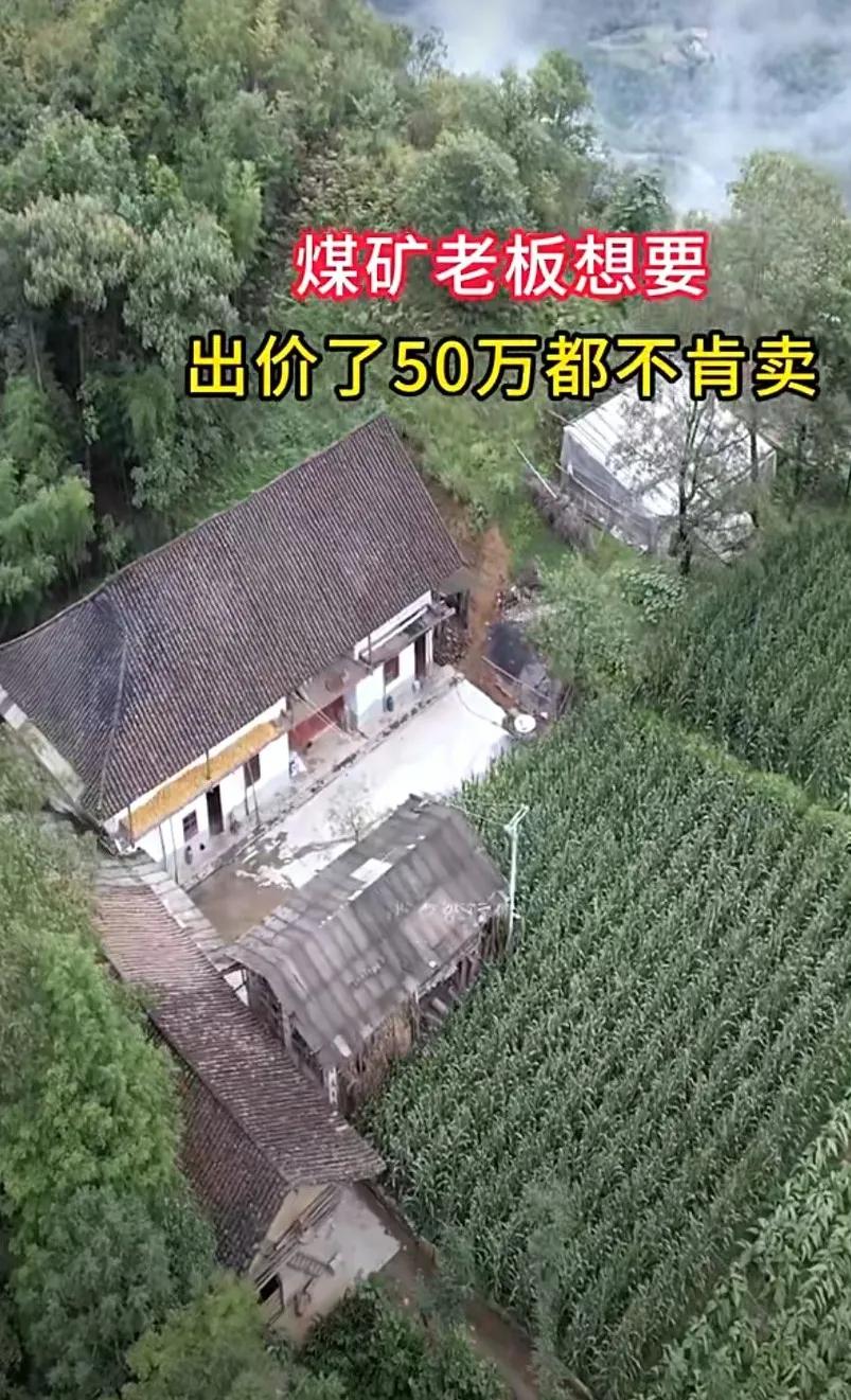 这地方环境真好啊，靠山吃山，在这山上开荒种地，建房子，自给自足，多好呀。

能在