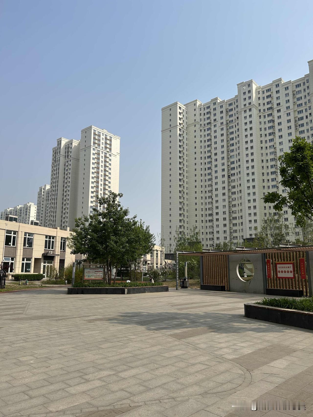 春风和煦，万物新生，出门踏春寻景，看繁花绽放、草木抽芽。在暖阳里感受生机，于微风