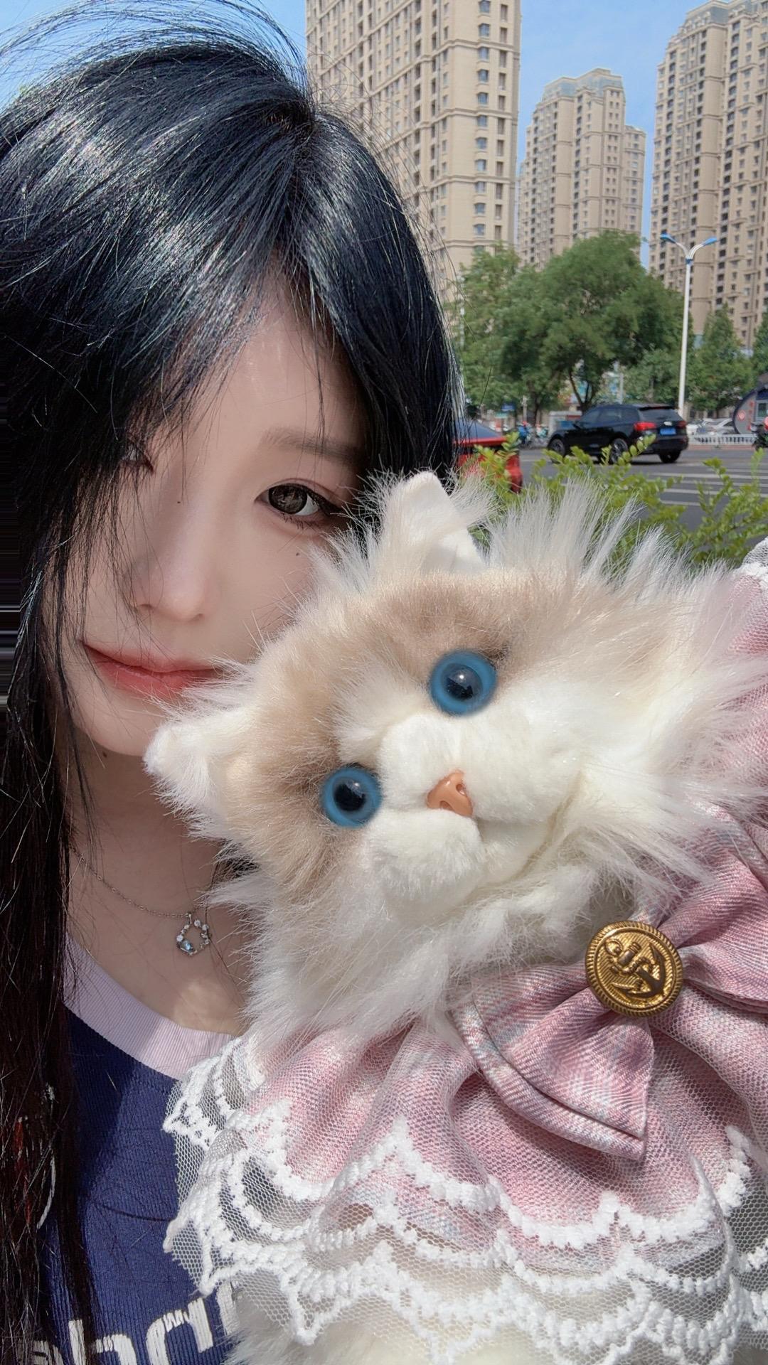 包包真的很像我的宝宝。小猫咪