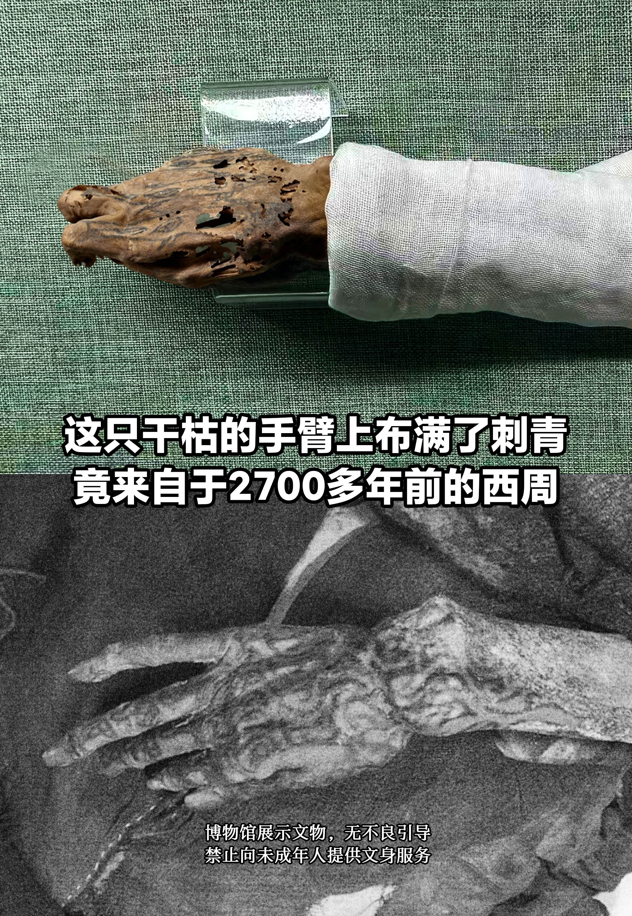 2700多年前干枯“手臂”，竟布满刺青！