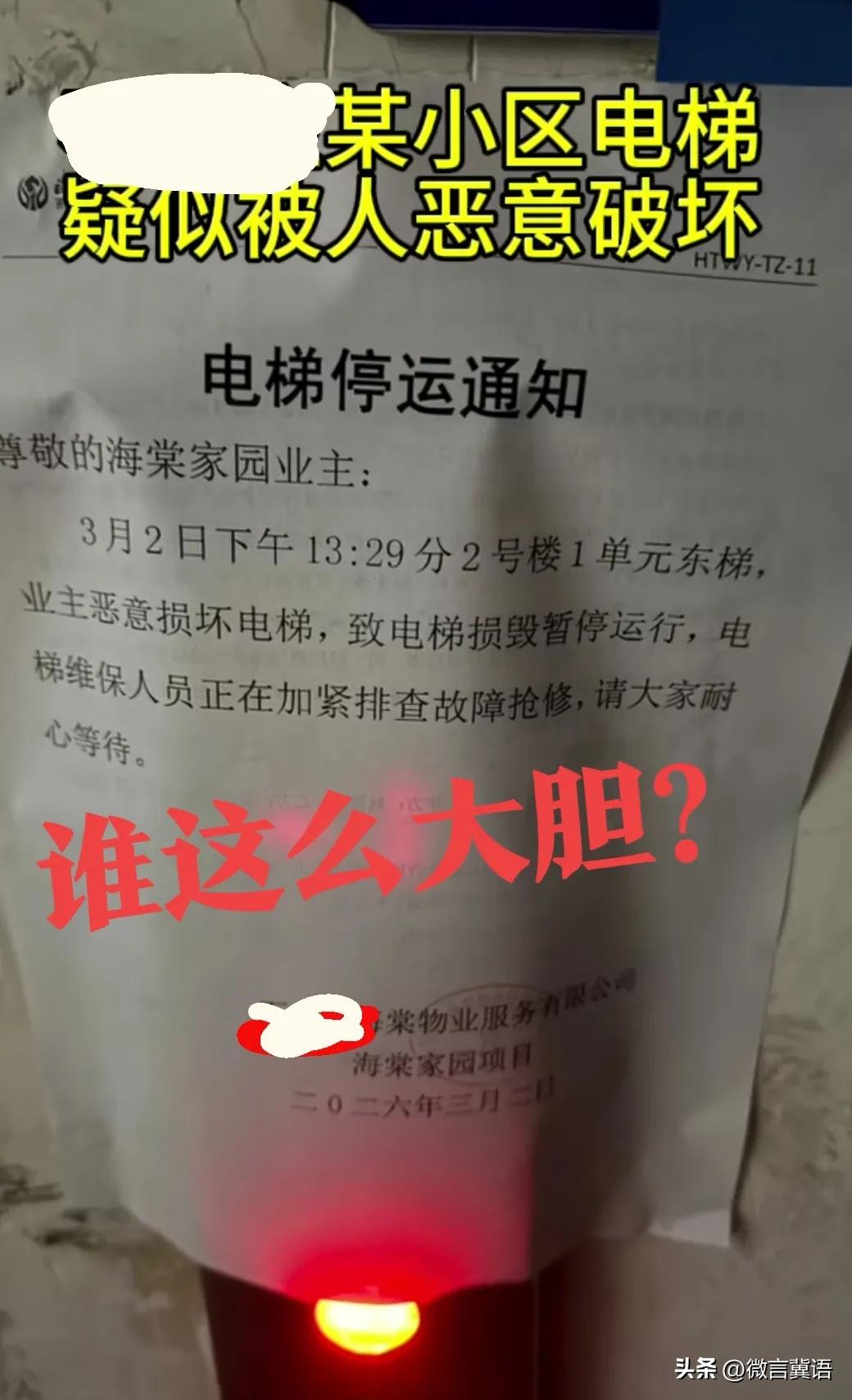 【胆大包天！桥西区吗？】谁干的？怎么回事？大人不会干这坏事，估计是小孩子，闲的没