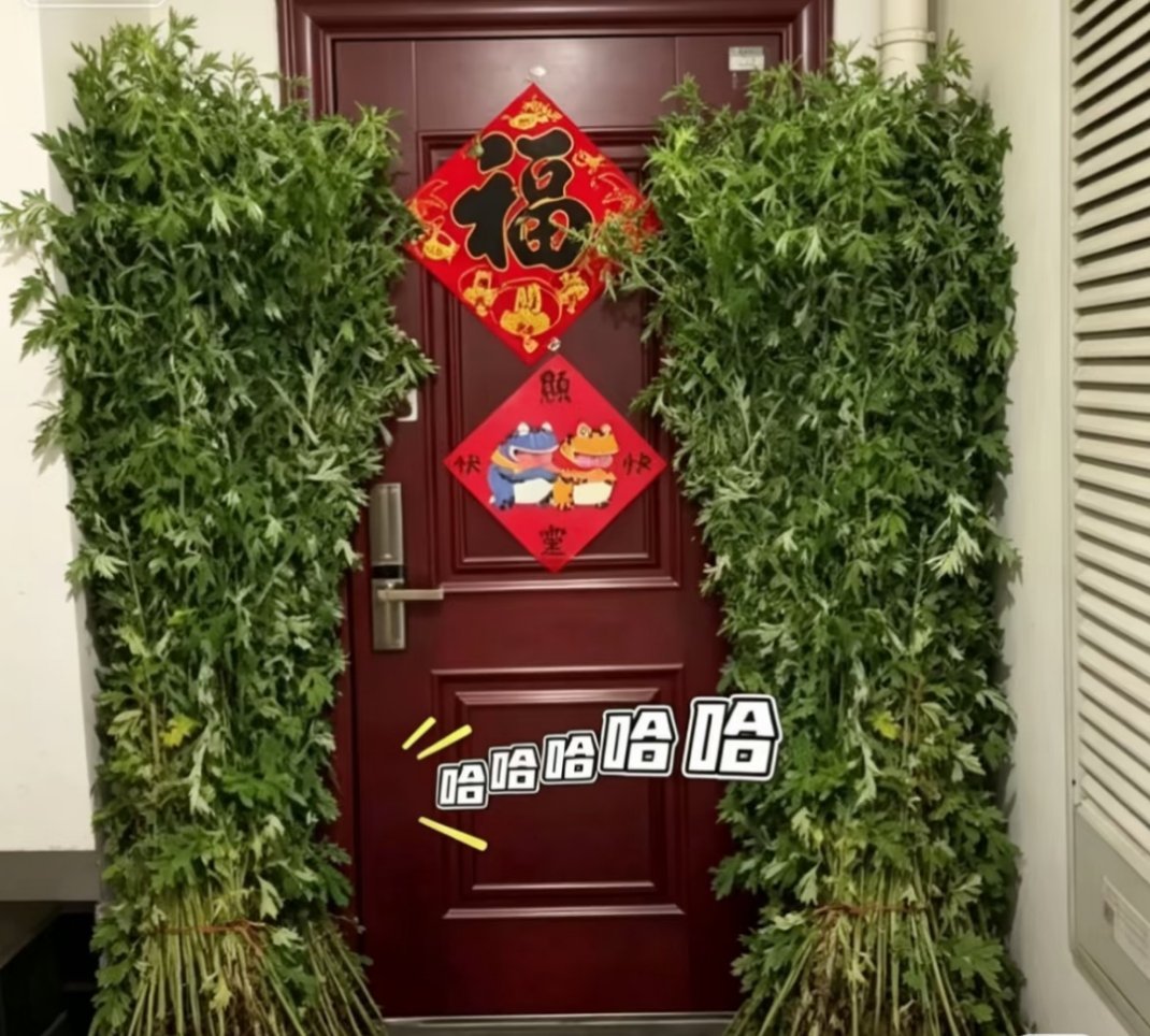 被邻居震惊了，全小区独一份哈哈哈真的很好奇从哪找来这么茁壮的艾草的，大到没办法挂