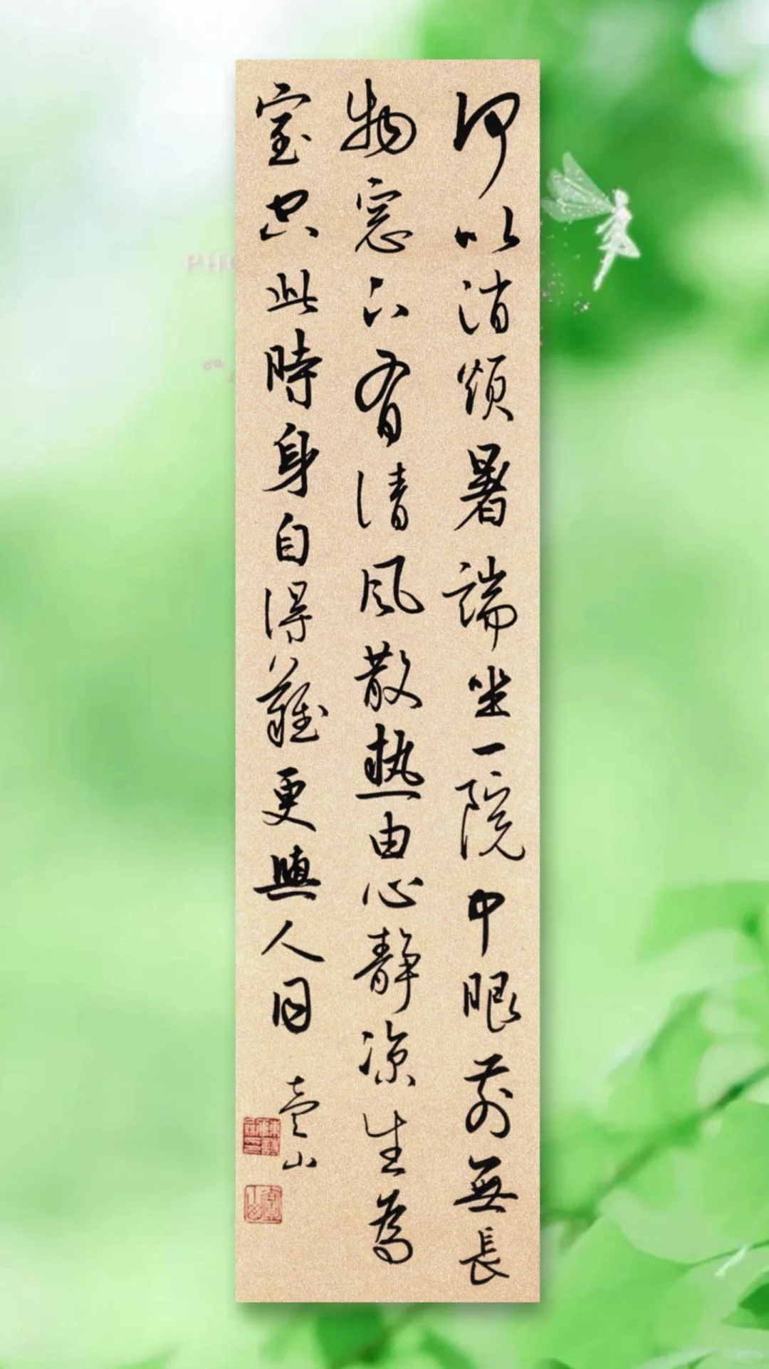 今日大暑