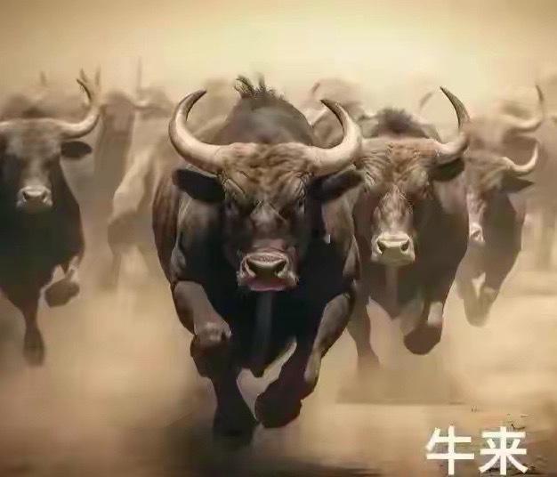 深夜重磅｜央行降准0%！汇率稳了，A股慢牛再添定海神针深夜复盘，必须把今天这条趋