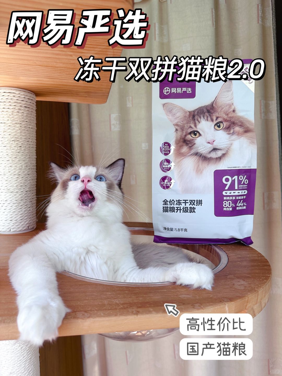 网易又双叒叕升级啦！