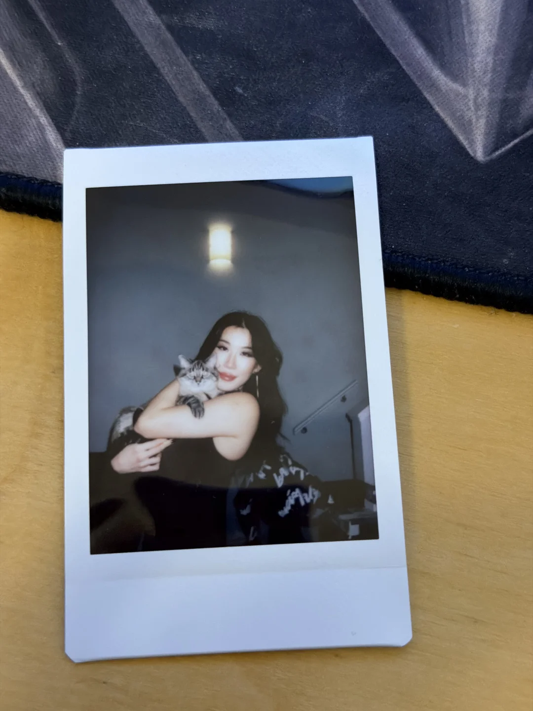 虎斑暹罗都这么黏人吗