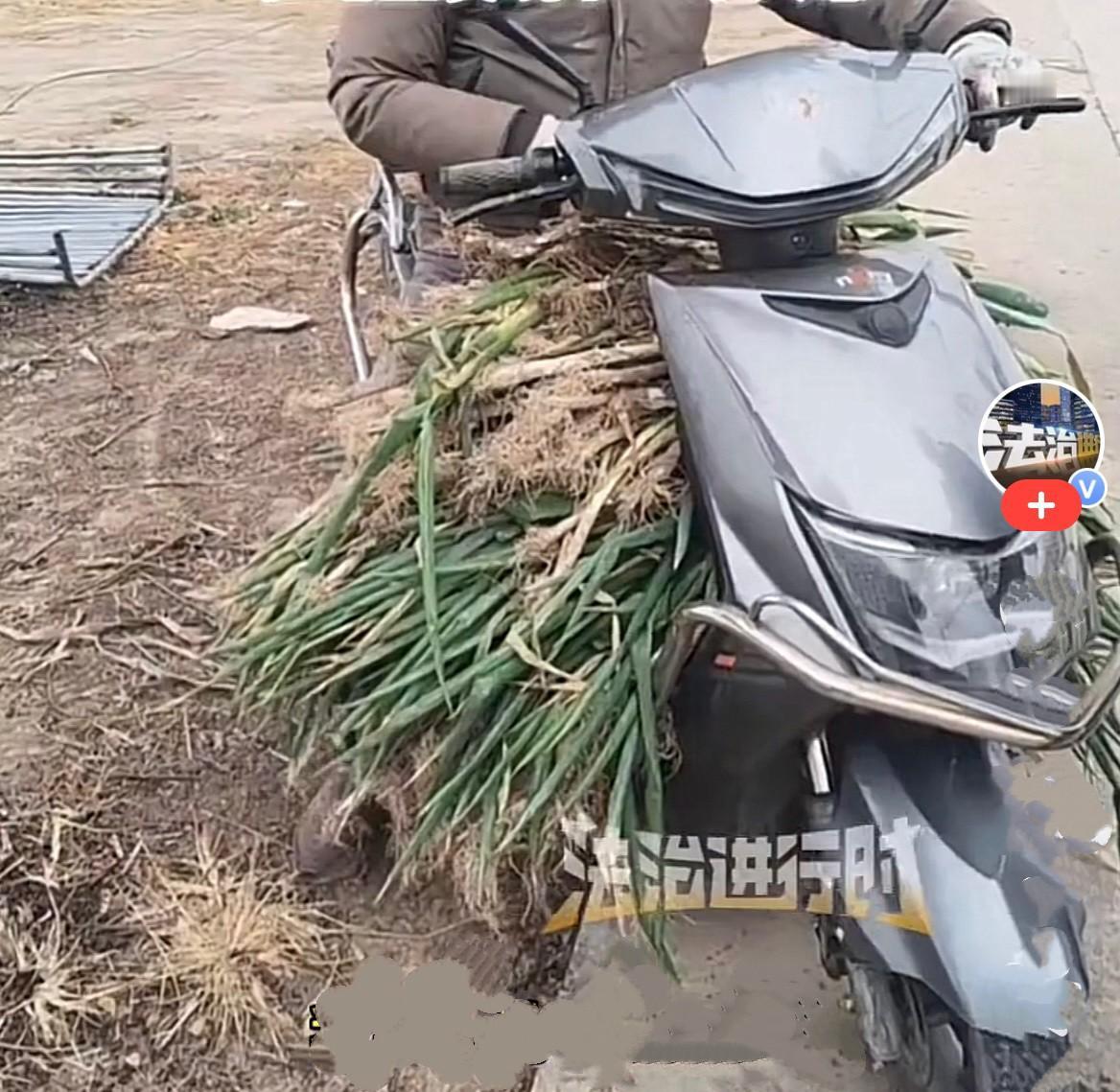 近日，江苏一男子骑着电动车去人家菜地里偷大葱，偷一次就行了呗，还总去偷，这次让主