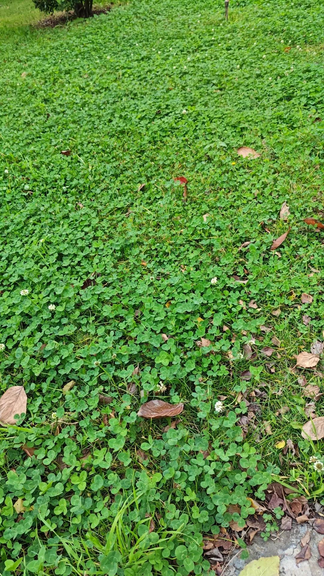 在公司上了3年班了，每天上班，每天风吹日晒，又受气，每个月都是月光族