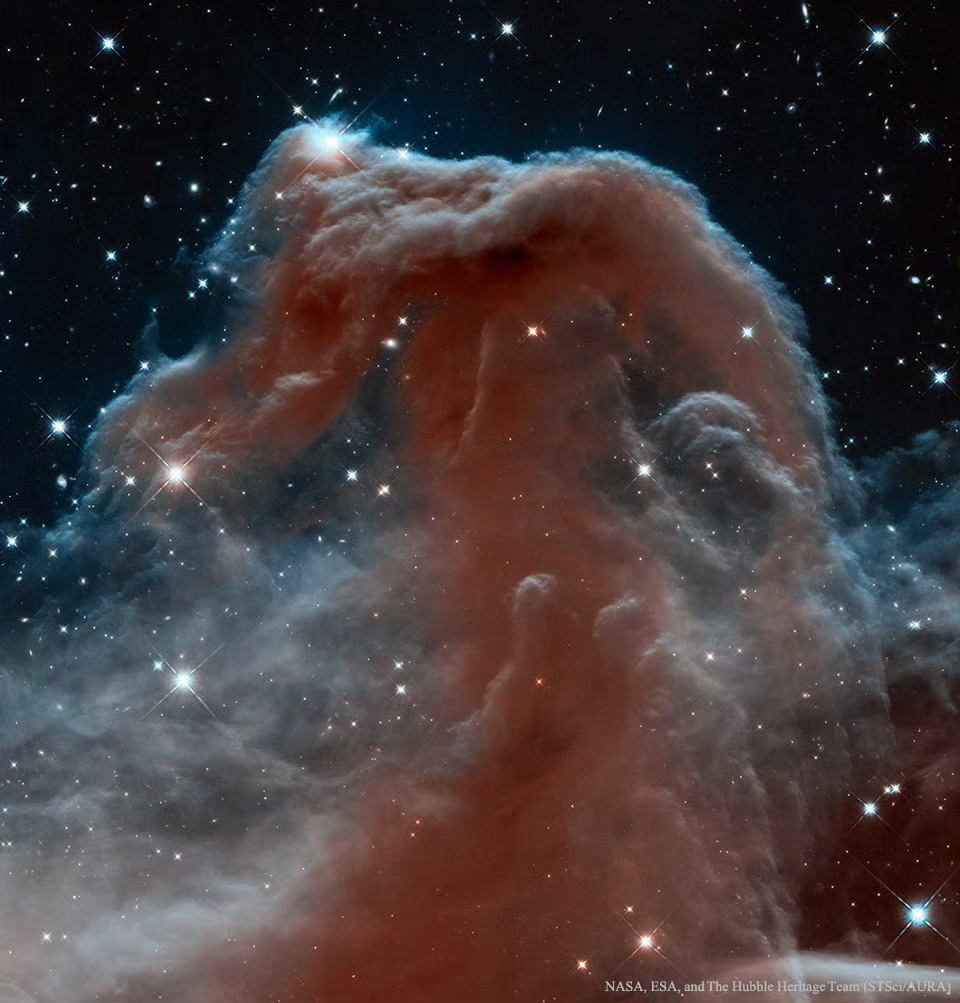 #每天一天文图# 哈伯太空望远镜的红外波段马头星云 ​​​