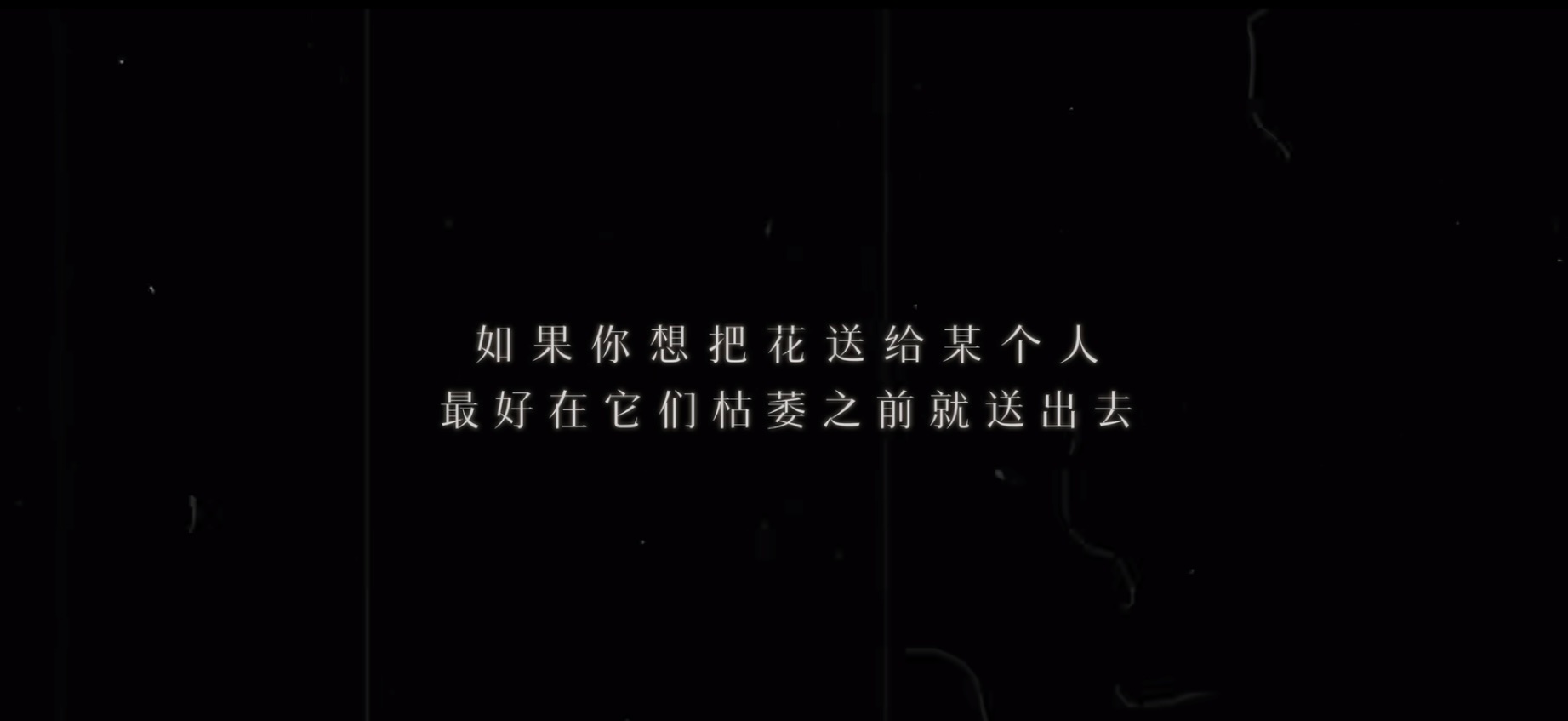 “如果你想把花送给某个人，最好在它们枯萎之前就送出去”——33号远征队，顶级法式