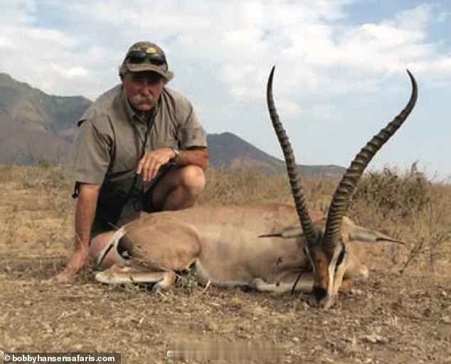 被大象跺成泥是什么感觉。。。这位75 岁的加州葡萄园主多坏，他在家里收藏了大量自