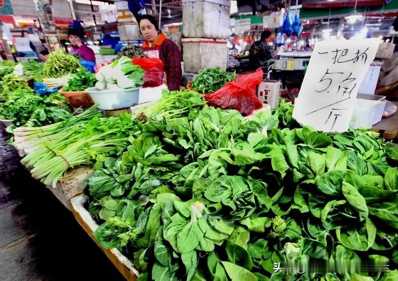 芹菜是属于光敏性食物


光敏性食物是指含有光敏性物质，易引起植物性日光皮炎的食