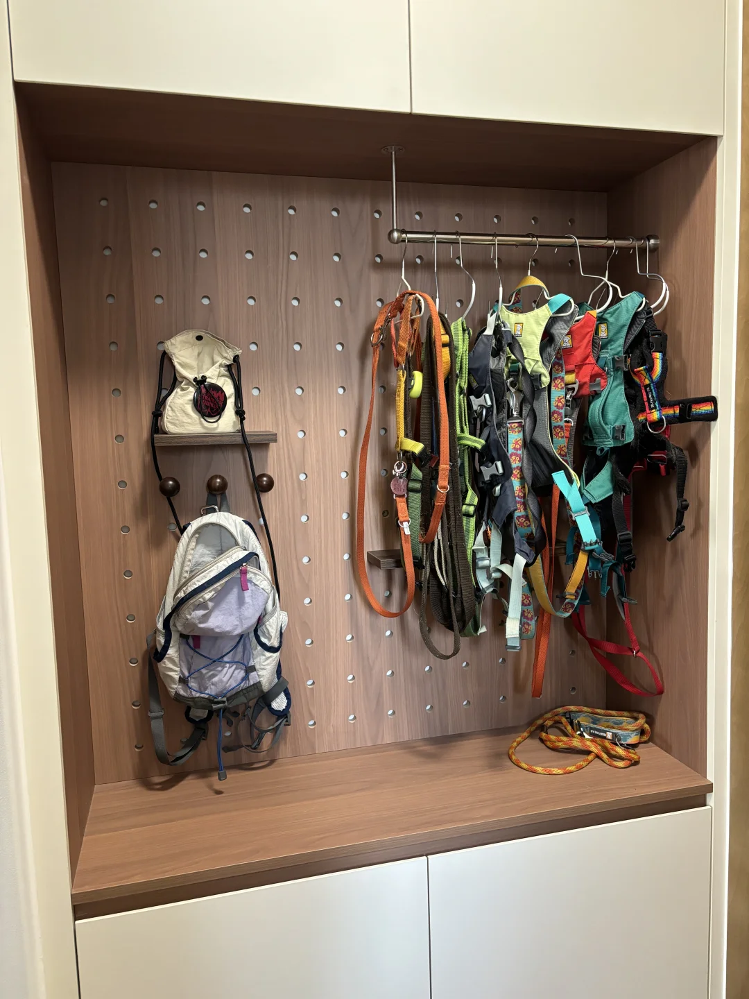 适宠化设计1️⃣｜小狗的胸背、衣服收纳区域