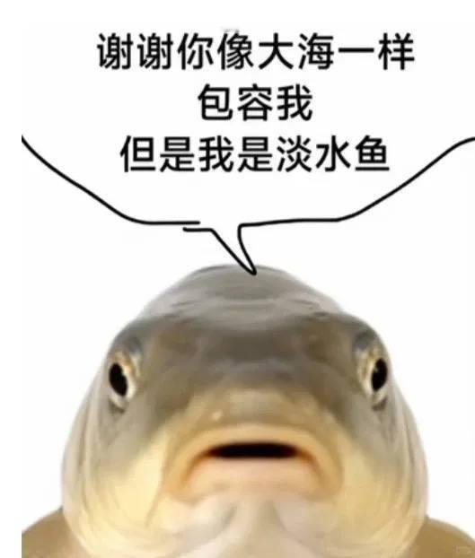 谢谢你 ​​​