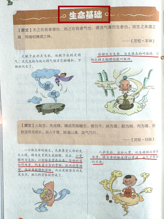 关于【生命的基础】你还知道哪些