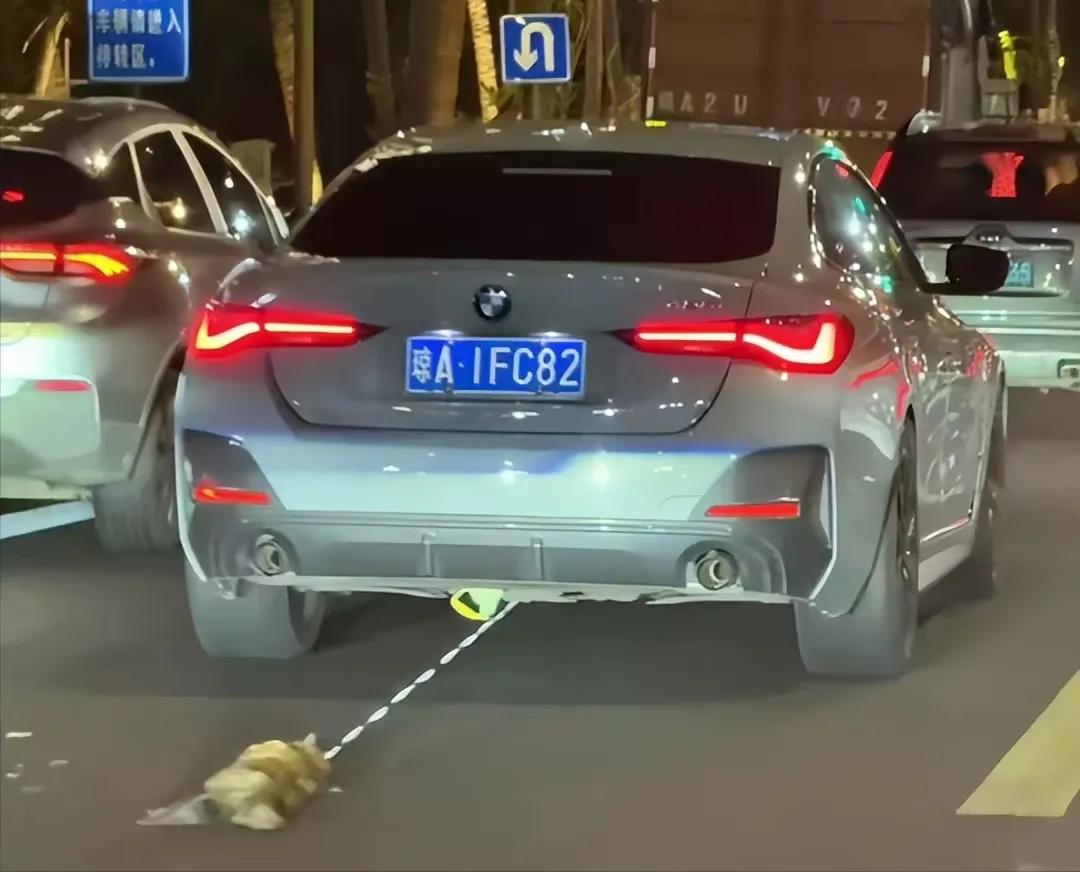 海南宝马虐猫案已经告破，宝马车根本就没有责任。猫是带着绳子自己跑出来的，跑到路上