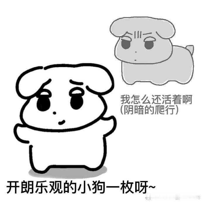 分享图片 ​​​