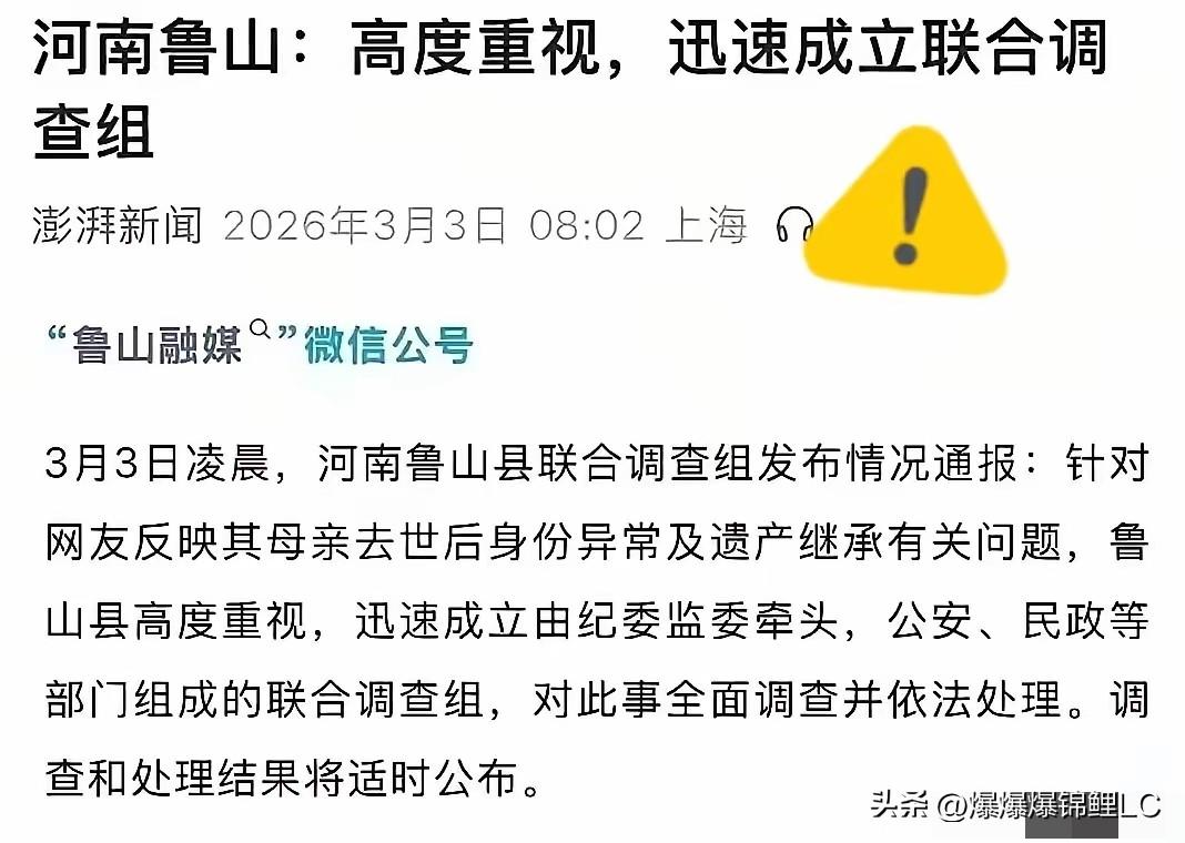 调查组一来，鲁山这帮亲戚就像热锅上的蚂蚁，全炸窝了。

一群大老爷们围着个小姑娘