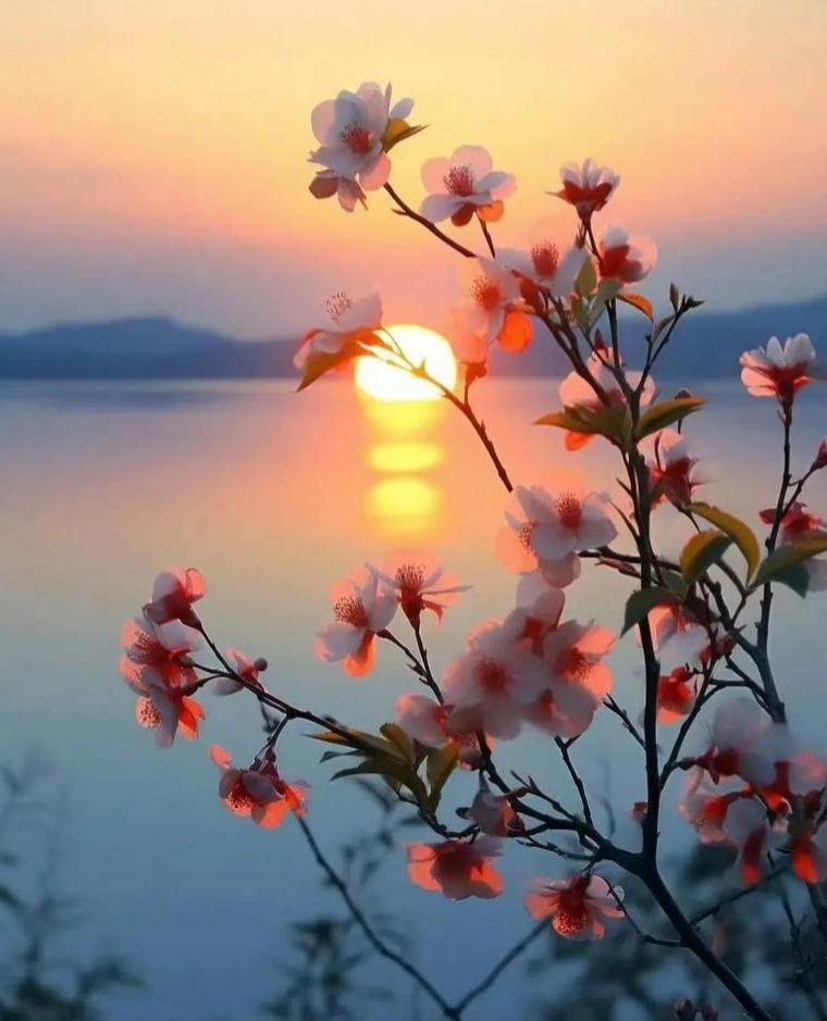 退休后才看透！手里有10万存款，不如管好这3样东西，晚年才不遭罪！
 
退休前总