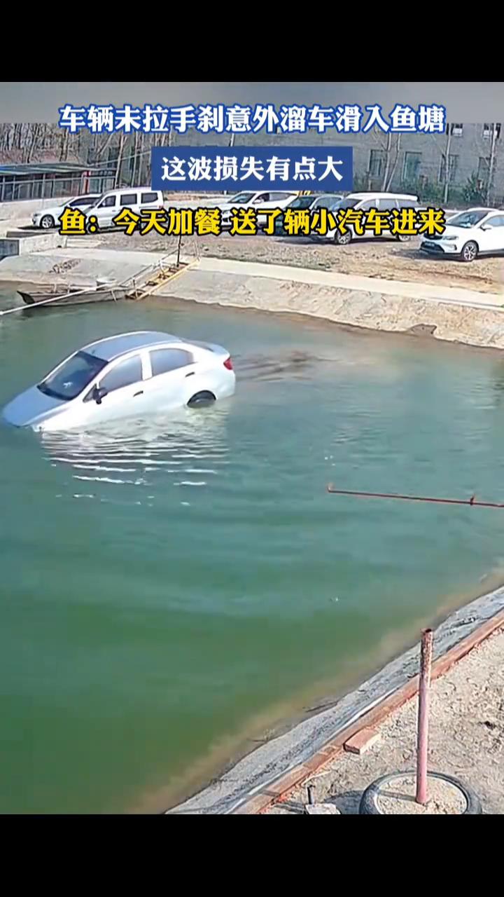 车辆未拉手刹意外溜车滑入鱼塘，这波损失有点大。
3月25日江苏。鱼：今天加餐送了
