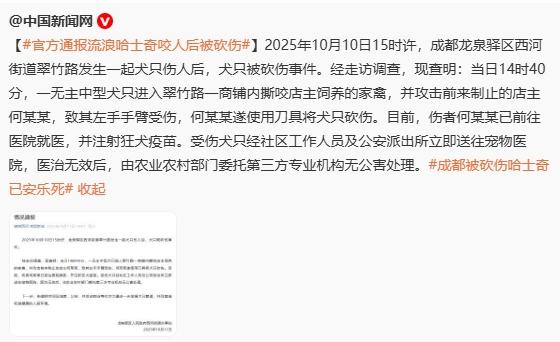 有些记者和哈士奇一样的狗，逮谁咬谁。在中国，安乐死是不被法律所允许的。看看@中国