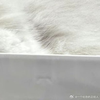 每日一善每日一善阳光信用日行一善每日一善你好一起保护大自然与社会携手做公益关爱唇