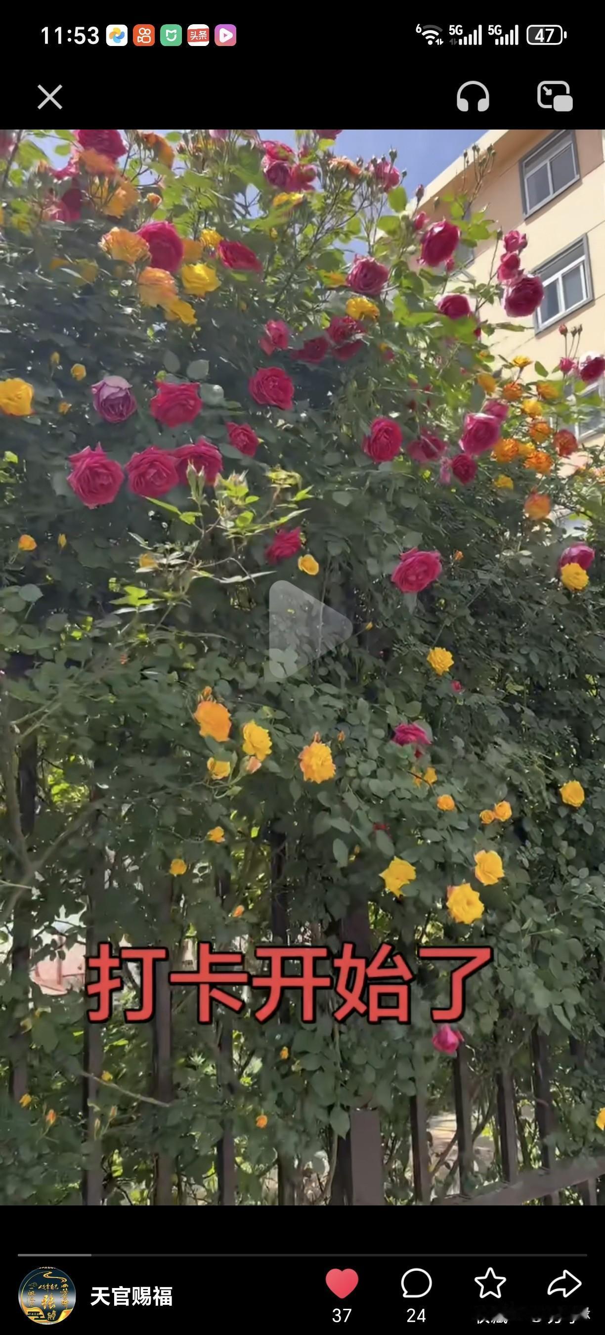 我认为相信吃亏是福？这词儿听着像老板画的大饼，或是长辈哄你干活的迷魂汤。但我信。
