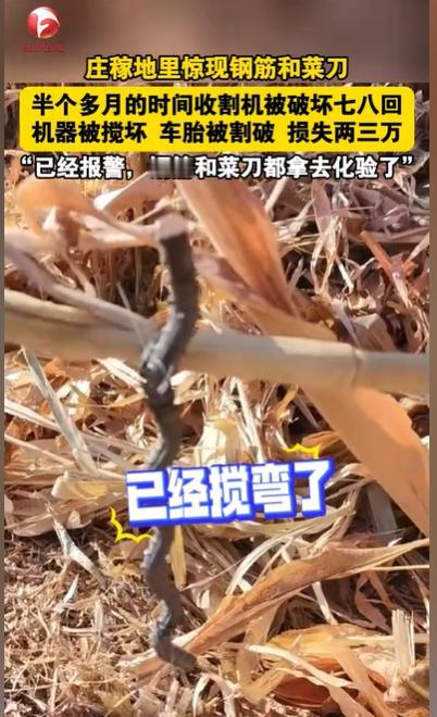 “这是动了谁的蛋糕？”吉林，男子开着收割机收割玉米，突然车底下传来一阵异响，他一