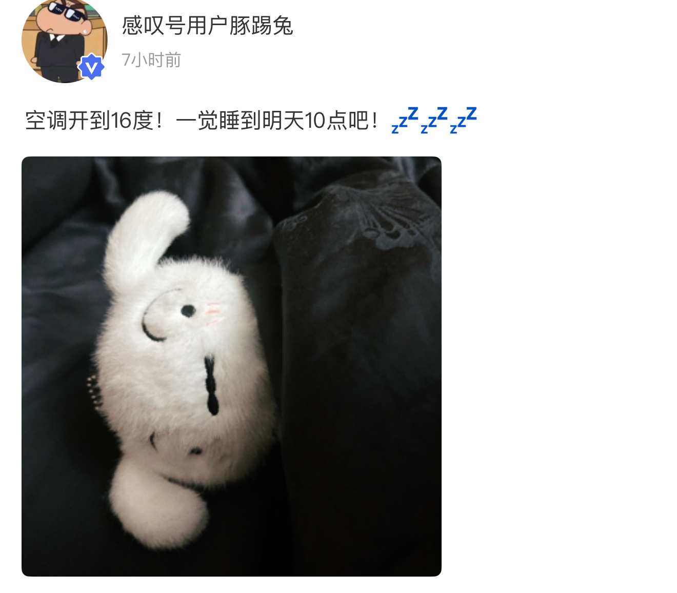 睡早了💤错过这么萌的高会 ​​​