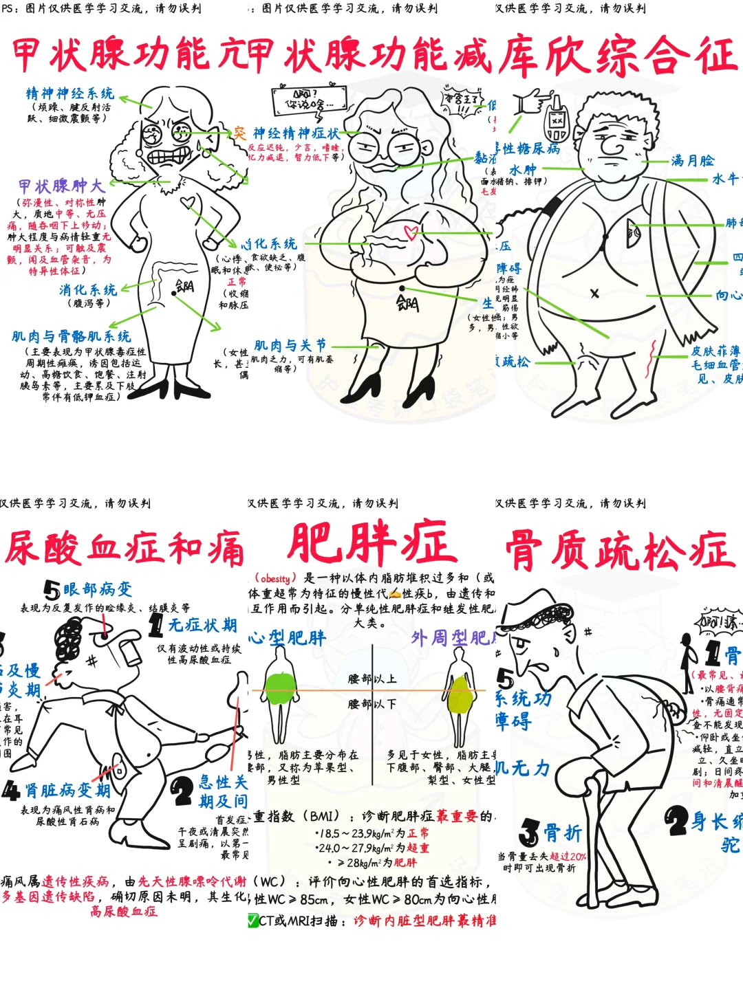 📒医学生笔记｜内分泌系统合集✅建议收藏