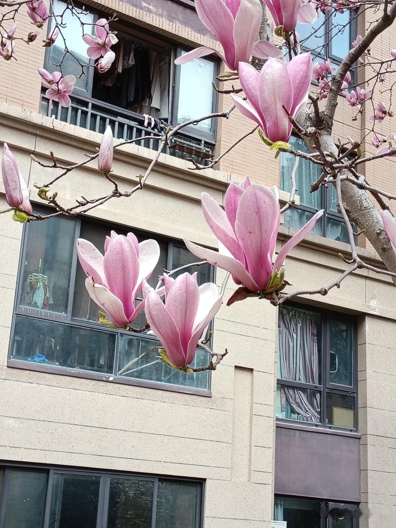 有点文学功底的，写头条啊
不行就整点手工活，再不行，批发点东西，摆地摊。既然来了