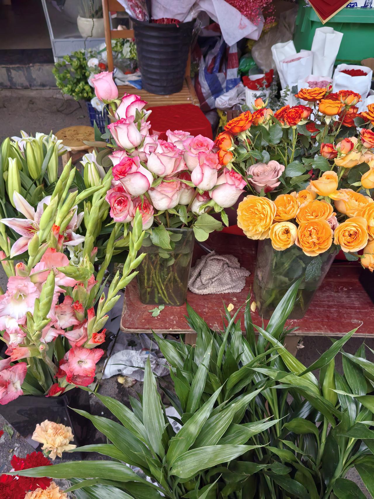 春节期间发放消费券对市场影响巨大。2026年“乐购新春”活动，各地安排20.5亿