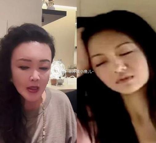 张兰渴望见到自己的孙子孙女，但自从她离开北京，前往台湾的那一刻起，她实际上已经做