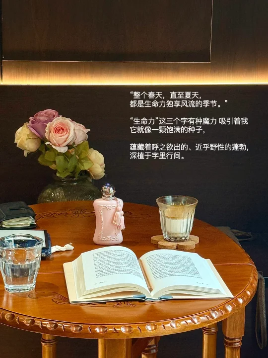 夏天是生命力独享风流的季节