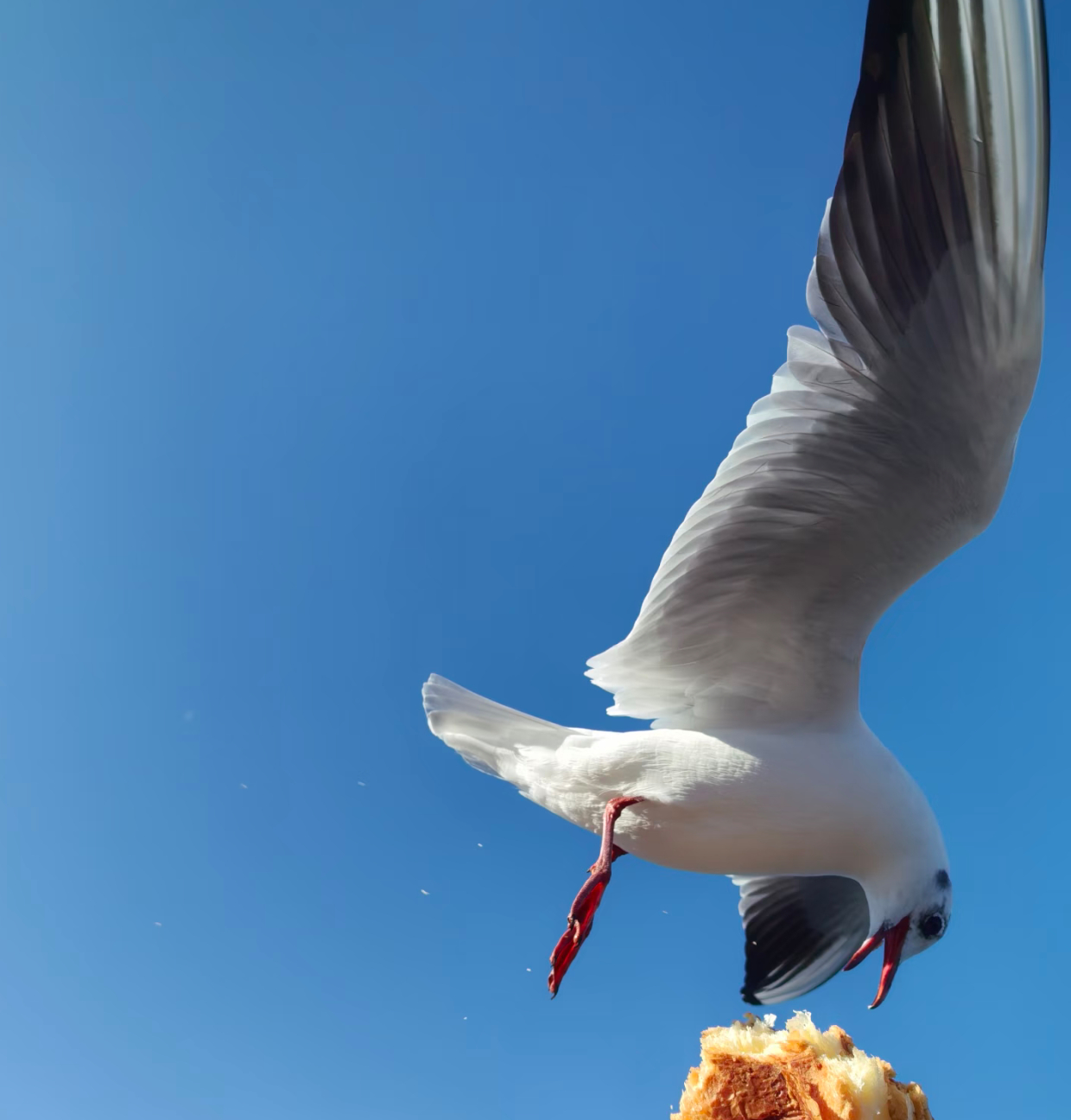 寒假不打烊  放寒假怕冷星人集合，北方寒风刺骨，昆明却暖得像春天，20℃+的天气