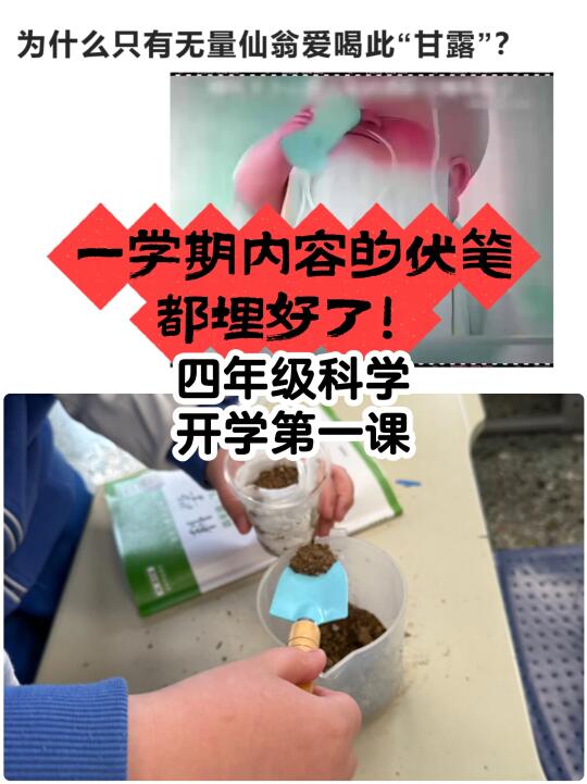 【无量仙翁】其实应该是一颗【种子】哈哈哈哈