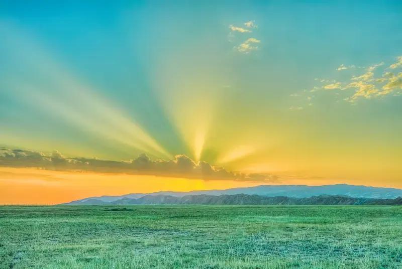 出上：独伴孤灯听夜雨，
对下：两人并立看朝阳。