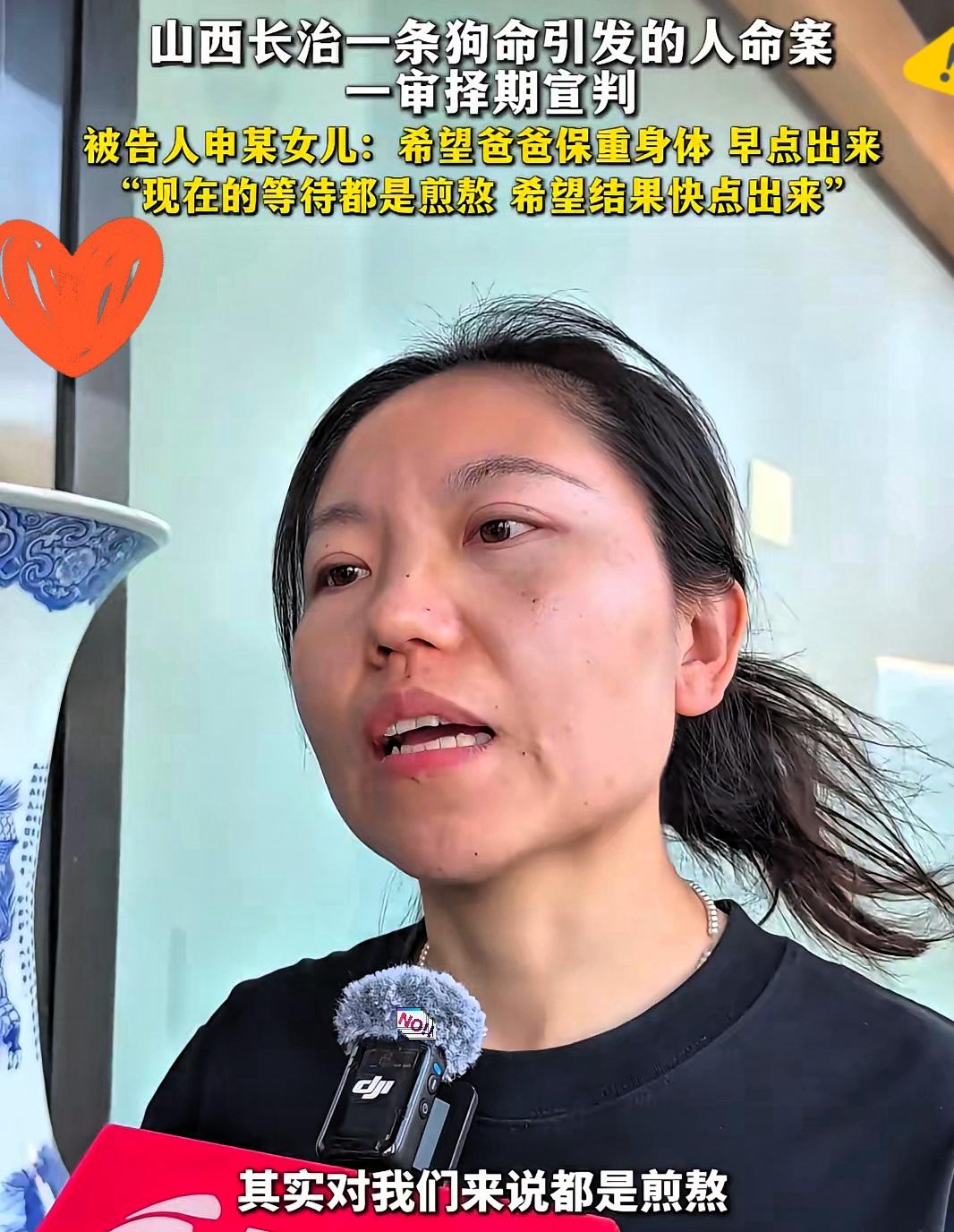 长治狗咬人案里，申倩倩才是全家的“定海神针”！要不是她硬撑，申家早就在这场风波里