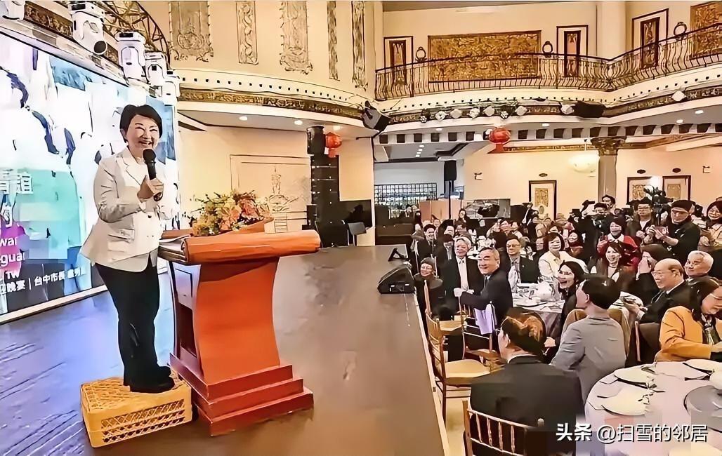 台中市长卢秀燕当地时间3月14日，在纽约参加侨界欢迎晚宴时，就两岸关系放话：“要