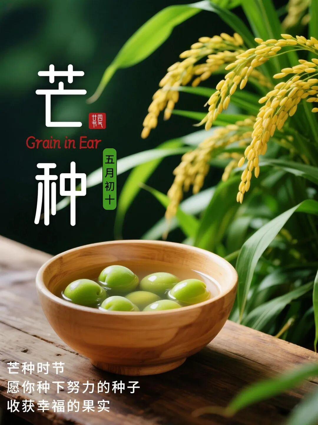 🌿芒种至，盛夏始，
天地有常，四时有序。
愿你的等待，不被辜负，
愿所有美好，