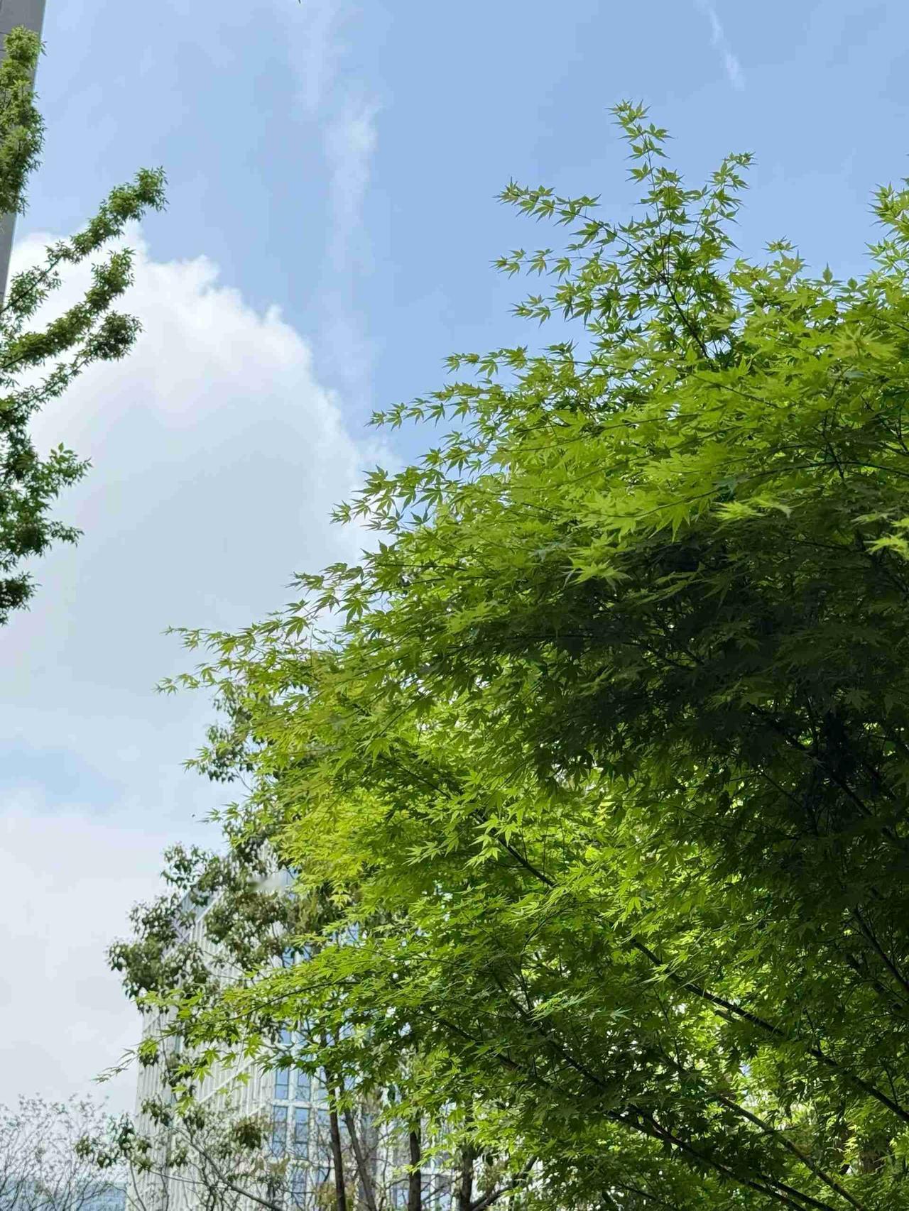 我的今日状态：😁轻松愉快
我这里的天气：☀️晴天