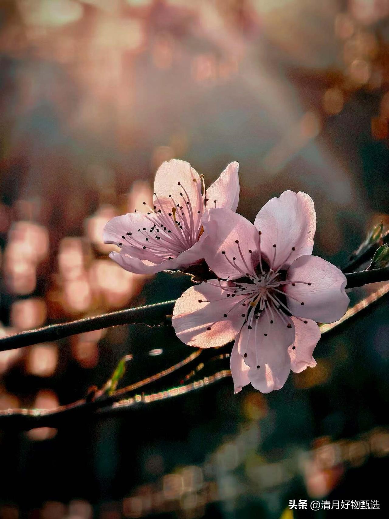 大家现在喜欢拍照打卡，背后有几个原因：

记录生活：照片是对美好瞬间的留存，帮人