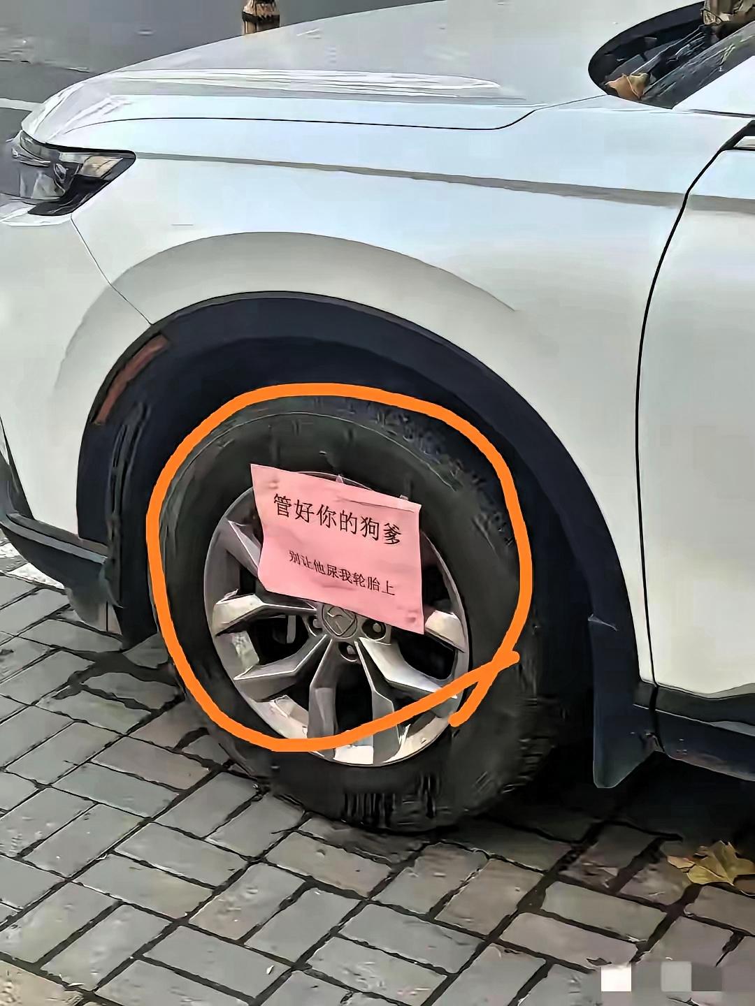 “管好你的狗爹，别让它尿在我的轮胎上”，第一眼看到这句话，很多人第一反应只会觉得