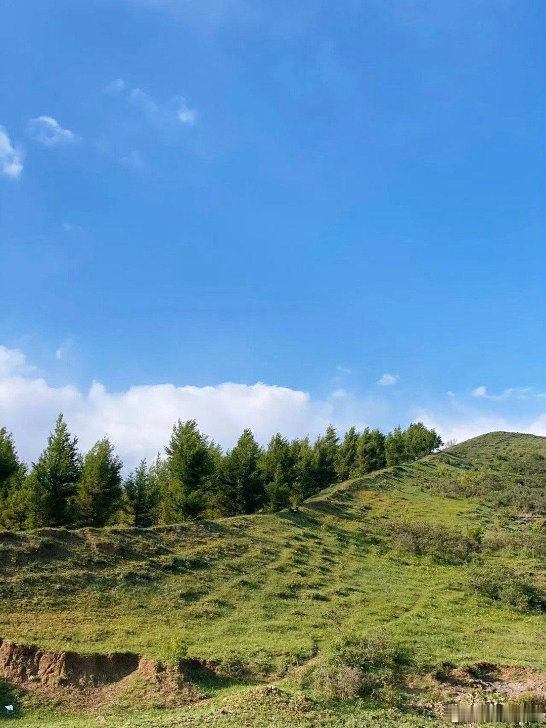 黄土高原变成了抹茶千层 这抹绿色太上头了，以后提起黄土高原，脑海里都是抹茶味的回