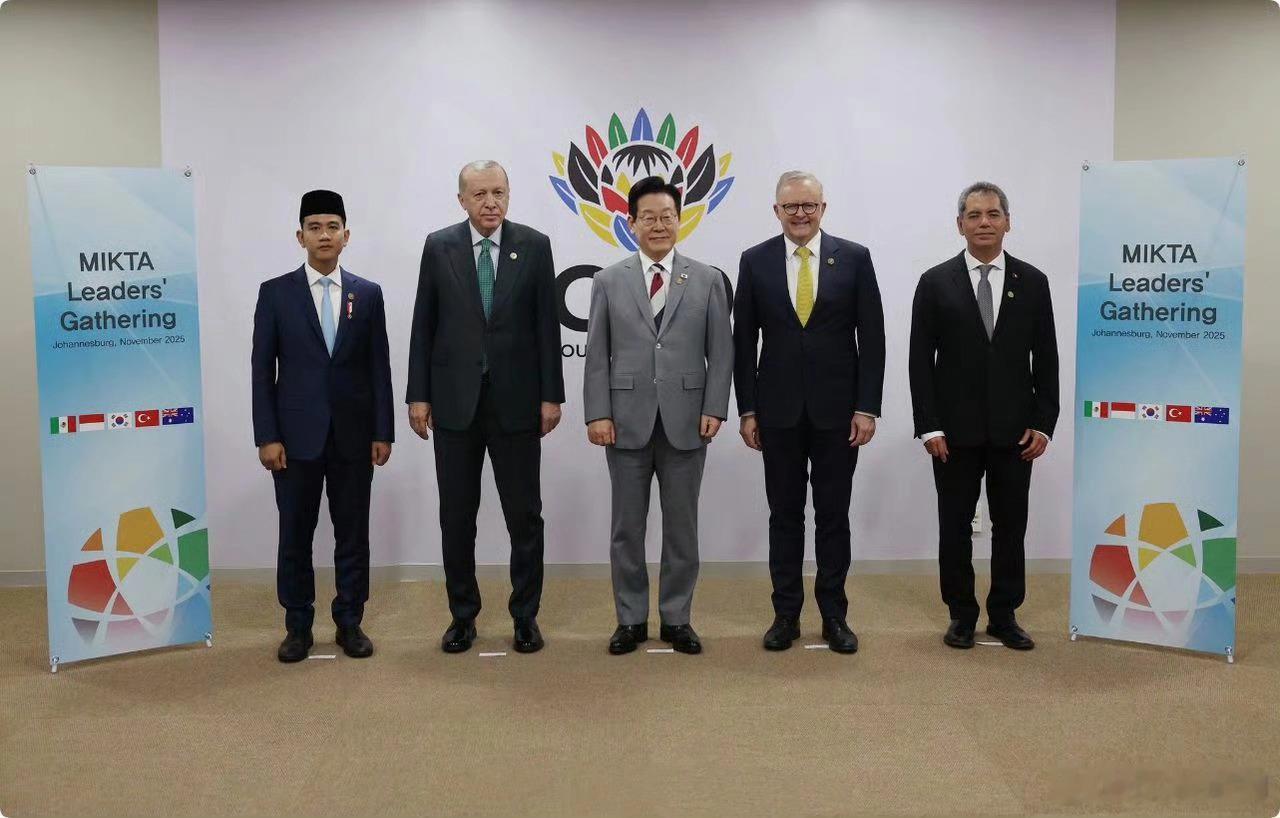 南非G20峰会间隙，由韩国、墨西哥、印尼、土耳其和澳洲五国组成的中等强国联合体召