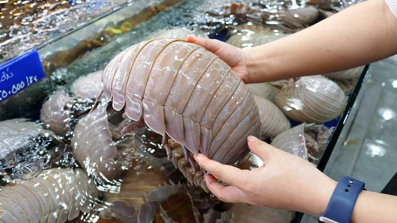 2026年7月8号8点的游戏安排还挺有说法。这天《率土之滨》上午10点全服例行维