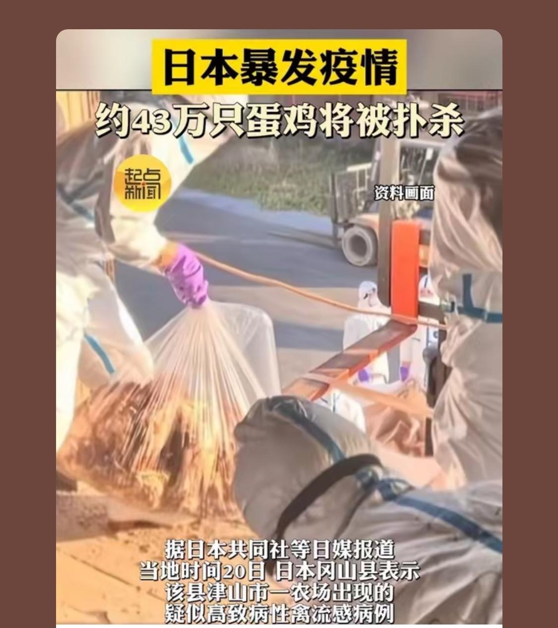 日本自己放毒，做试验

所有养殖场都得小心投病毒，现在小无人机也多，防护措施做好